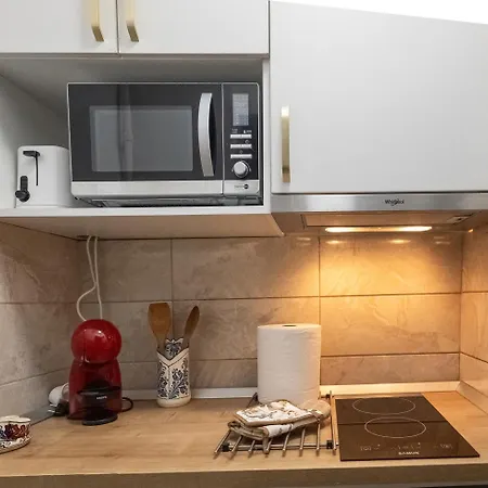 Traditional Romanian * Bucarest